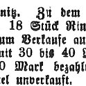 1904-08-26 Kl Viehmarkrt